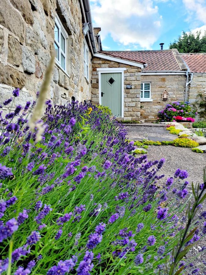 Holiday home Underhill Whitby